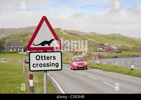 Road sign warning otters crossing on a Scottish main road near a sea loch on coast. Whiteness, Shetland Islands, Scotland, UK, Britain Stock Photo