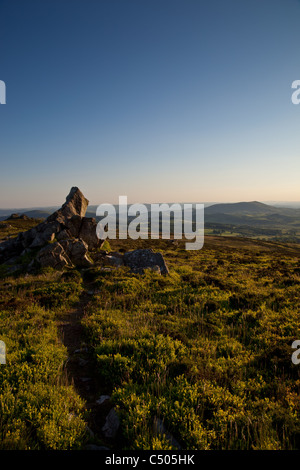 A sheeptrack to a quartzite outcrop on the Stiperstones, Shropshire, with Corndon Hill in Powys, Wales in the distance. Stock Photo