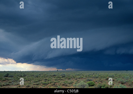 Thunderstorm (cumulonimbus) wall cloud over the Coconino Plateau, near the Grand Canyon, ARIZONA Stock Photo