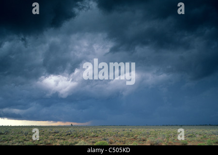 Thunderstorm (cumulonimbus) wall cloud over the Coconino Plateau, near the Grand Canyon, ARIZONA Stock Photo