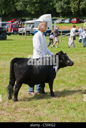 ENTRANTS IN AGRICULTURAL SHOW CHEPSTOW MONMOUTHSHIRE WALES UK Stock Photo