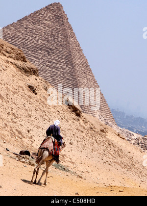 Man on camel Stock Photo