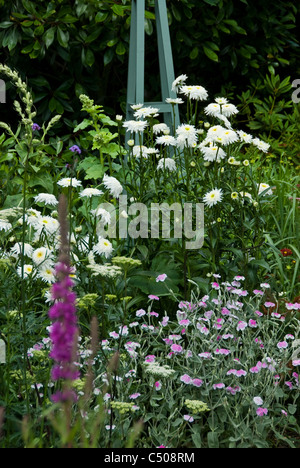 A summer border in an English garden. Stock Photo