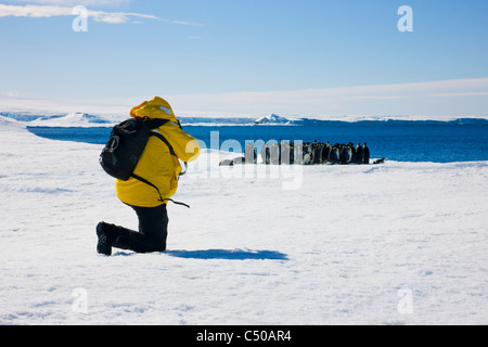 Tourists photographing Emperor Penguins on ice, Snow Hill Island, Antarctica Stock Photo