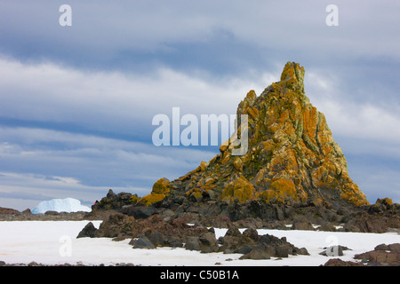 Lichen covered rocks on Penguin Island, Antarctica Stock Photo