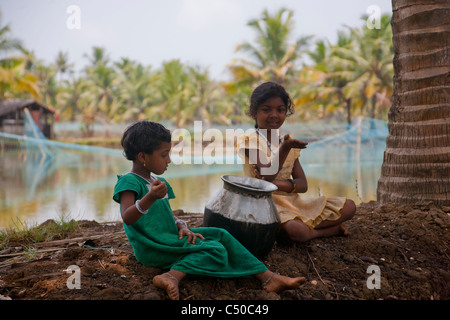 Children collecting shrimps in the backwaters at Kollam, Kerala, India. Stock Photo