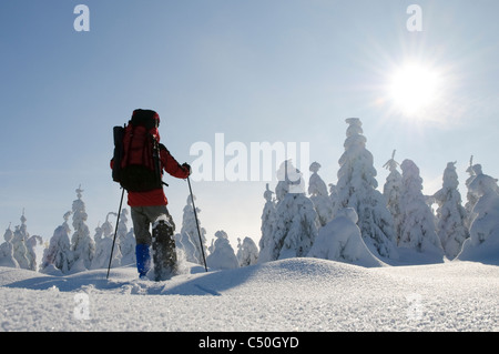 Man with snow shoes in the Nationalpark Harz national park, Lower Saxony, Germany, Europe Stock Photo
