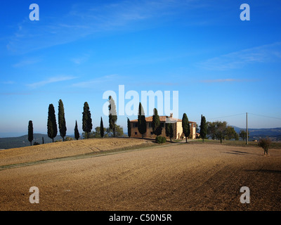 Typical farmhouse with cypress trees near Pienza in the Val d’Orcia in Tuscany, Italy. Stock Photo