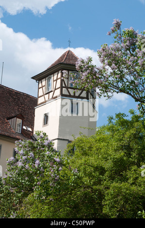 The Max Planck Institut of Ornithology is situated in Moeggingen castle near the Lake Constance.  Schloss Möggingen