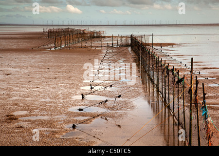 A view of fishing nets on the Solway Firth at low tide with wind turbines in the background Stock Photo