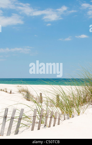 sand dune on Perdido Key, Florida Stock Photo