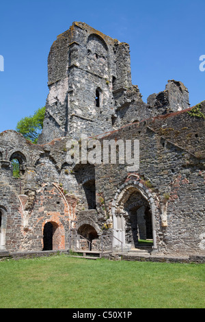 Ruins of the Cistercian Abbey of Villers, Villers-la-Ville, province of Walloon Brabant, Wallonia, Belgium, Europe Stock Photo