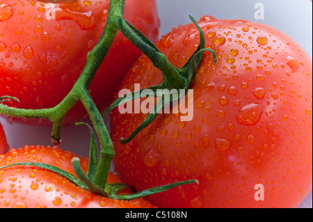 Close up of tomatoes with water drops. Stock Photo