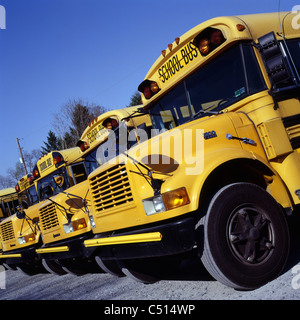 Parked school buses Stock Photo