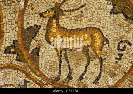 Africa, Tunisia, Bulla Regia Archaeological Site, Roman Ruins, New House of the Hunt, Wild Deer Mosaic Stock Photo