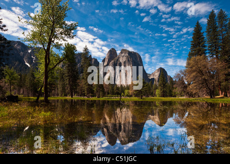 Tall granite mountains, blue sky, cloud reflections in spring flood water Yosemite National Park USA. Dramatic blue sky background, puffy white clouds
