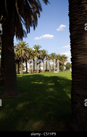 Edwards Park in Port Melbourne. Stock Photo