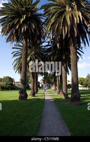 Edwards Park in Port Melbourne. Stock Photo