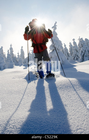 Man with snowshoes in Harz National Park, Lower Saxony, Germany, Europe Stock Photo