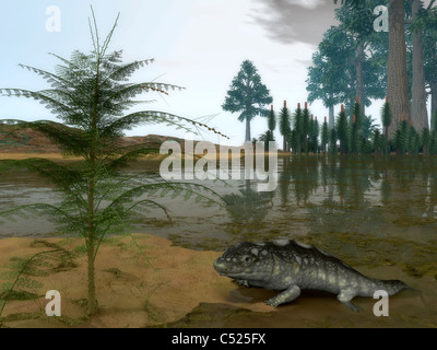 A Late Devonian Ichthyostega emerges from waters of a floodplain. Stock Photo