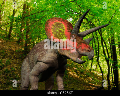 A ten ton Triceratops wanders a Cretaceous forest 68 million years ago in what is today the Western United States. Stock Photo