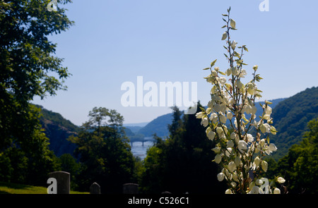 National Park Service owns and operates the historic Civil War town of Harpers Ferry with its old cemetery and flowers framing Stock Photo