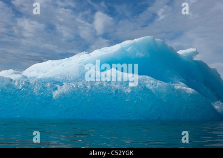 Iceberg floating in Holkham Bay near the entrance to Tracy Arm, Tongass National Forest, Southeast Alaska, Summer Stock Photo