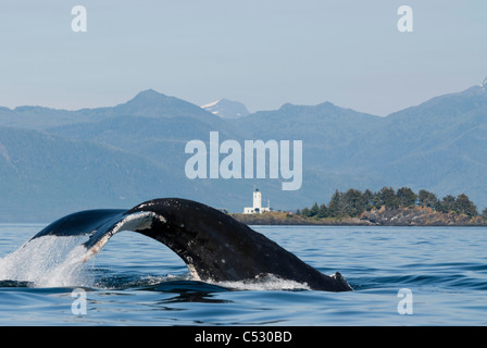 Humpback whale diving with fluke visible and Five Finger Lighthouse in the background, Frederick Sound, Inside Passage, Alaska Stock Photo