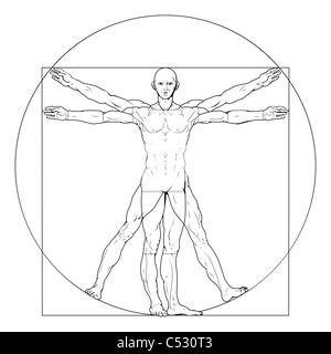 Illustration based on Leonardo da Vinci's classic Vitruvian man Stock Photo