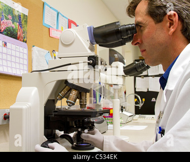 Laboratory scientist, laboratory technician, works on lab research using a microscope. Stock Photo