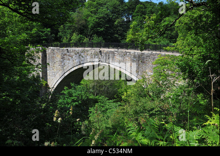 arch causey surviving oldest railway bridge alamy worlds built near