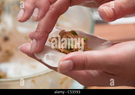 Preparing Asian dumplings Stock Photo