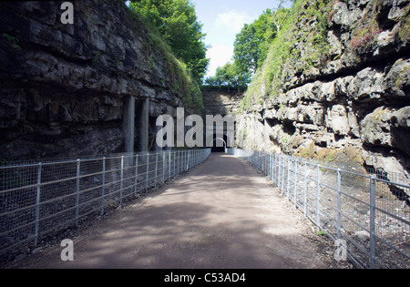 Eastern end of the newly opened Headstone railway tunnel on the monsal trail in derbyshire Stock Photo