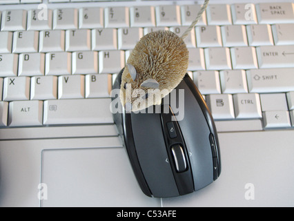 laptop computer and two mouse on keyboard Stock Photo