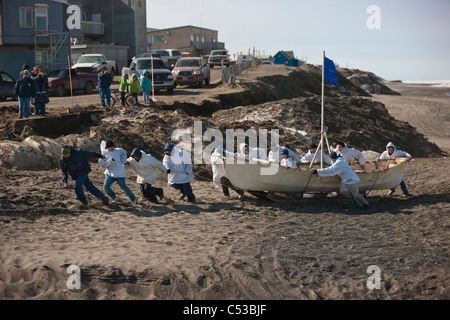 Whaling crew pulls their Umiaq off the Chuchki Sea ice at the end of the spring whaling season in Barrow, Arctic Alaska, Summer Stock Photo