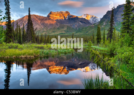 Reflection of Skookum Volcano in a pond near Nabesna Road at sunset in Wrangell St. Ellias National Park, Alaska, Summer Stock Photo