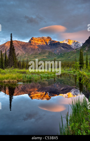 Reflection of Skookum Volcano in a pond near Nabesna Road at sunset in Wrangell St. Ellias National Park, Alaska, Summer Stock Photo