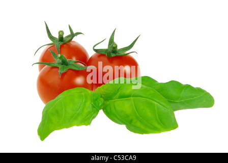 Tomate und Basilikum - tomato and basil 03 Stock Photo