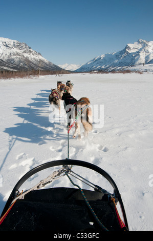View from the sled while dog mushing up the North Fork of the Koyukuk River in Gates of the Arctic National Park