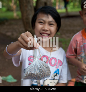 Portrait of a girl holding a plastic bag of seeds, Thailand Stock Photo