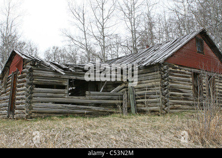 Old abandoned log house in the country surrounded by trees and farmland.  Roof caved in and walls collapsing . Stock Photo