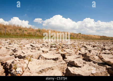 Mudcracks in the Coto Donana, Andalucia, Spain, one of the most imortant wetland wildlife sites in Europe. Stock Photo