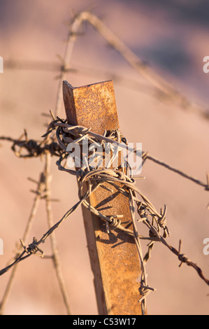 Rusty barbed wire fence detail; Israeli IDF base Stock Photo