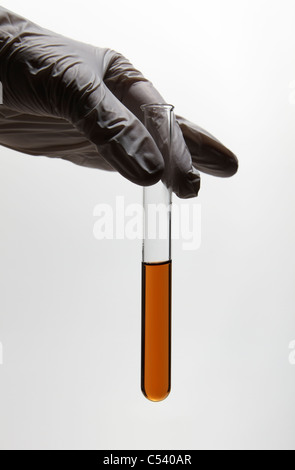 Hand wearing a nitrile glove is holding a test tube filled with colored liquid. Stock Photo