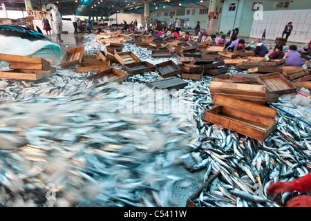 Wholesale fish market in Busan/ Pusan, South Korea. Stock Photo
