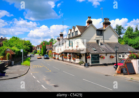 Albury village pub ,Drummond Arms  in the Surrey Hills Stock Photo