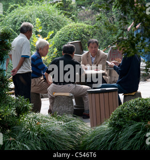 Men playing cards at a park, Shanghai, China Stock Photo