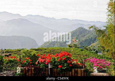 Alishan National Park Forest Scenic Area, Chiayi, Taiwan Stock Photo