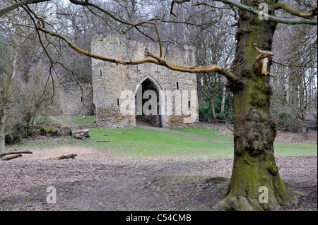 Castle folly behind trees, Roundhay Park, Leeds, West Yorkshire, UK Stock Photo