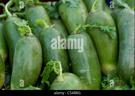 Chinese melons at a market stall, Binhai, Tianjin, China Stock Photo